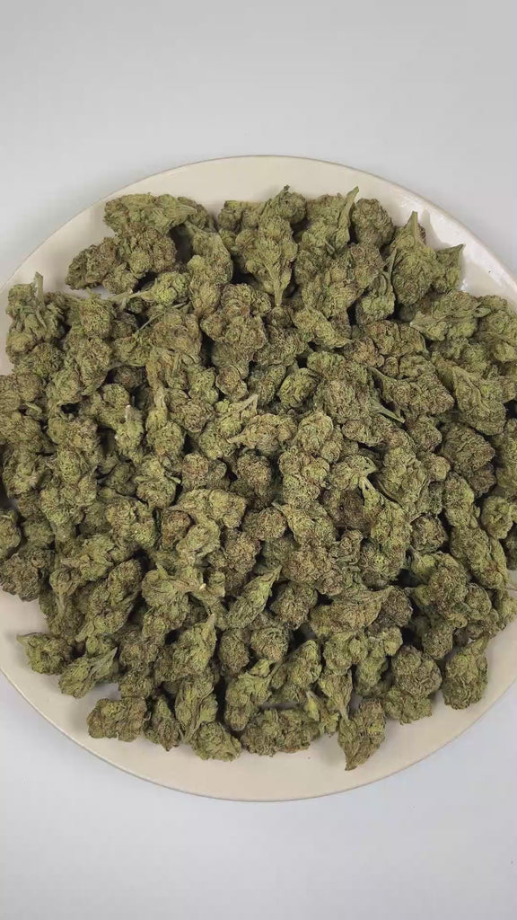 PUFFY Shock Tart (smalls) is a balanced hybrid THCa strain rooted in the exceptional lineage of Purple Thai and Afghani. The aroma opens with bold notes of pungent fuel and bright citrus, layered with a rich gassy finish. Visually, dense deep forest green buds with purple hues and fiery orange pistils are coated in sticky trichomes. Consumers often report feeling euphoric, content, relaxed, and focused, offering a soothing yet mentally engaging experience. 
