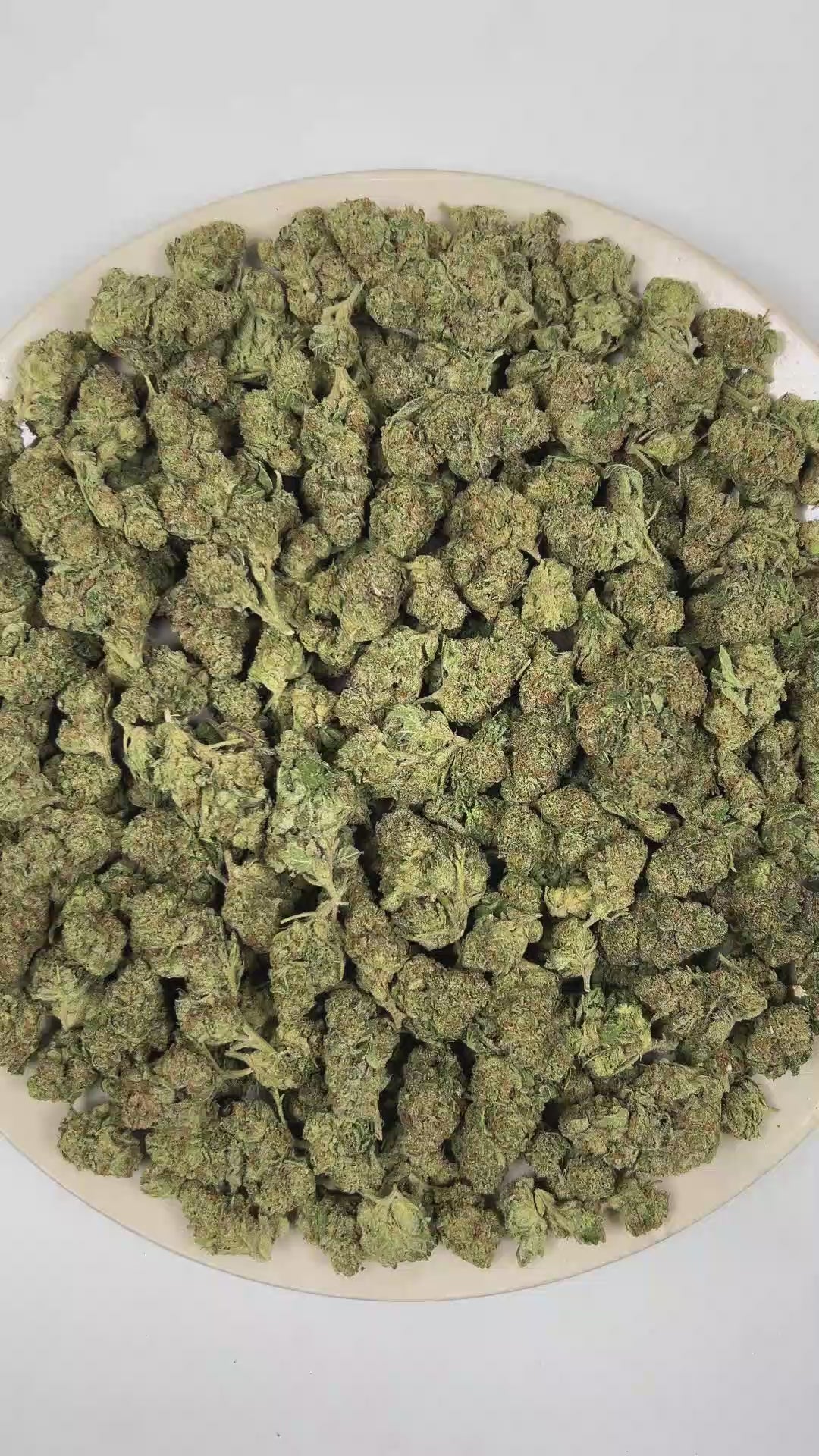 PUFFY Animal Face is an sativa-dominant hybrid THCa strain resulting from the strategic pairing of Face Off OG and Animal Mints. The aroma opens with warm, earthy spices, layered with sharp savory onion notes and finished by a bold, pungent gassy undertone. Visually, dense forest green buds with purple hues and fiery orange pistils are coated in sticky trichomes. Consumers often report a euphoric, uplifting onset that delivers a clear-headed, focused experience before gradually transitioning into deep physi