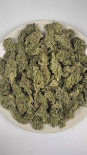 PUFFY Gumbo Runtz is an indica-dominant hybrid THCa strain with genetics that have yet to be publicly revealed, leaving its true lineage unknown. The aroma is a bold blend of fuel and herbal notes, finished with a crisp, refreshing touch of pine. Visually, dense forest green buds with purple hues and fiery orange pistils are coated in sticky trichomes. Consumers often report an uplifting wave of euphoria that gradually settles into deep relaxation, promoting a profound sense of calm, stress relief, and ment