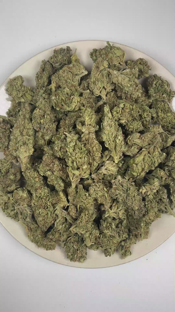 PUFFY Gumbo Runtz is an indica-dominant hybrid THCa strain with genetics that have yet to be publicly revealed, leaving its true lineage unknown. The aroma is a bold blend of fuel and herbal notes, finished with a crisp, refreshing touch of pine. Visually, dense forest green buds with purple hues and fiery orange pistils are coated in sticky trichomes. Consumers often report an uplifting wave of euphoria that gradually settles into deep relaxation, promoting a profound sense of calm, stress relief, and ment