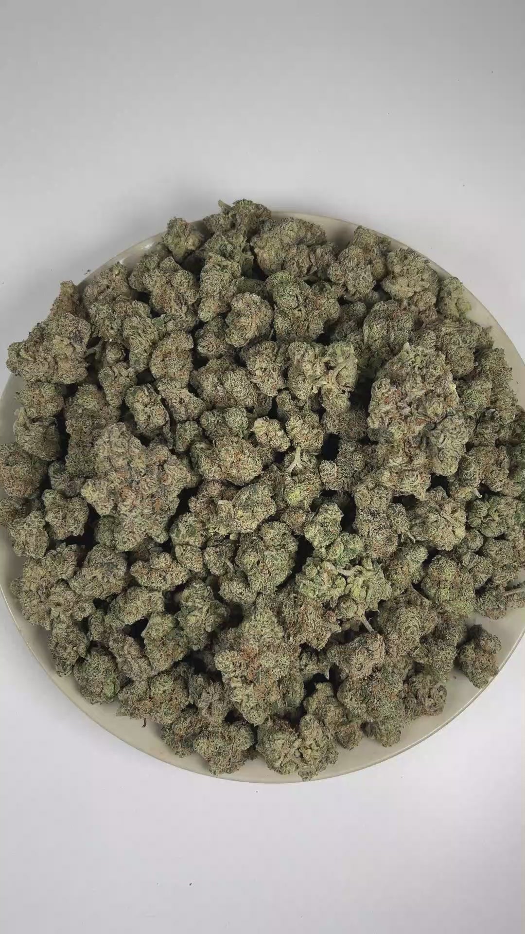 PUFFY Cat Piss is a sativa-dominant hybrid THCa strain recognized as a distinctive phenotype of the legendary Super Silver Haze. The aroma is distinctly skunky and pungent, layered with a gassy intensity. Visually, dense forest green buds with purple hues and fiery orange pistils are coated in sticky trichomes. Consumers often report a euphoric, uplifted, and energized experience that encourages creativity, sharp focus, and a vibrant sense of mental clarity. 
