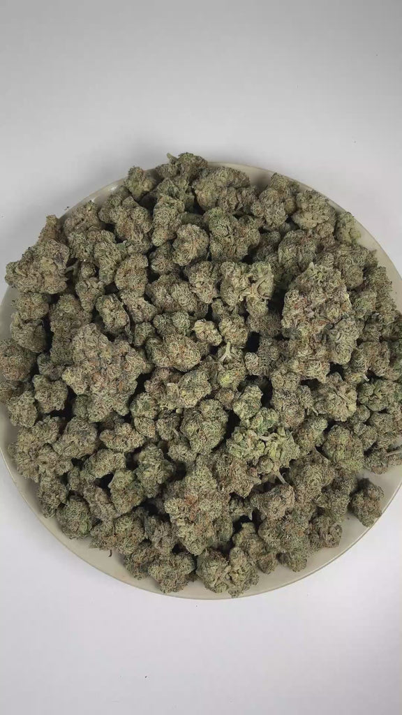 PUFFY Cat Piss is a sativa-dominant hybrid THCa strain recognized as a distinctive phenotype of the legendary Super Silver Haze. The aroma is distinctly skunky and pungent, layered with a gassy intensity. Visually, dense forest green buds with purple hues and fiery orange pistils are coated in sticky trichomes. Consumers often report a euphoric, uplifted, and energized experience that encourages creativity, sharp focus, and a vibrant sense of mental clarity. 