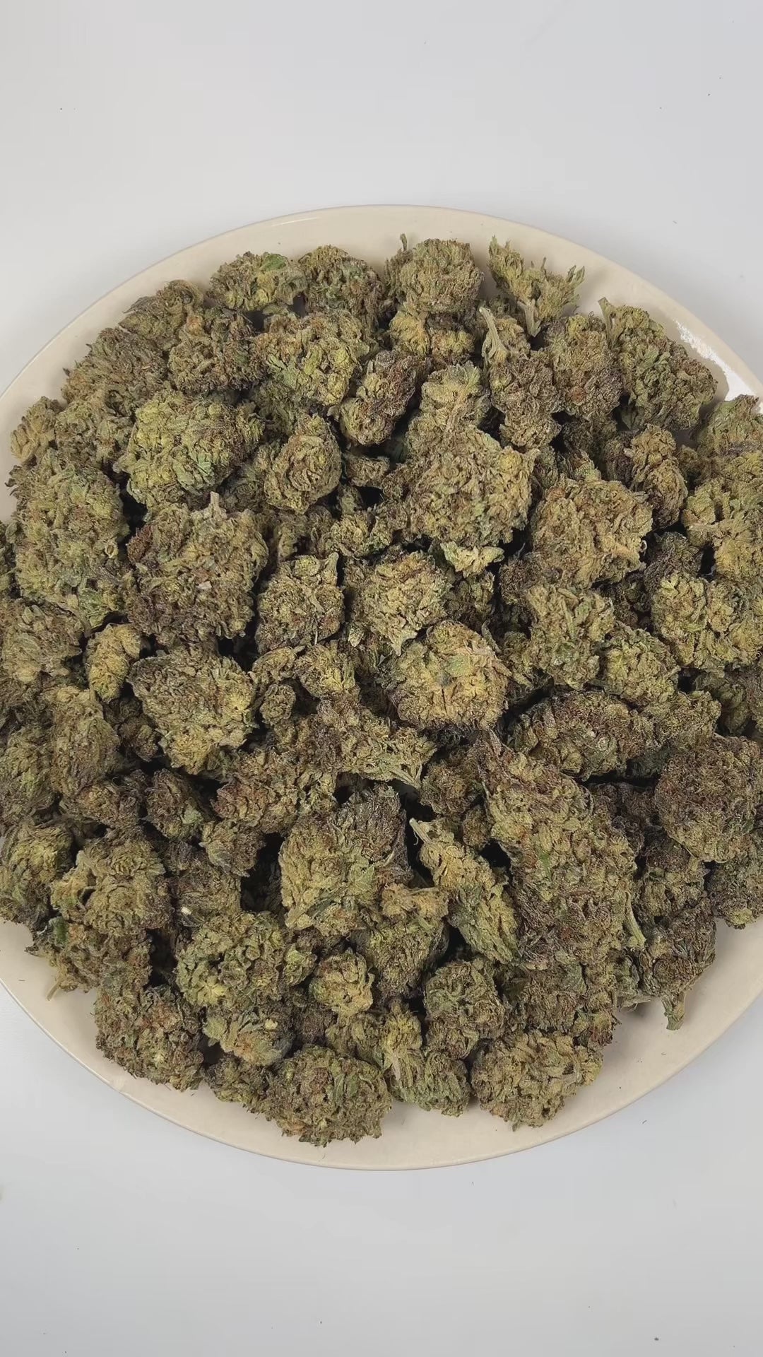 PUFFY Grease Gun is a balanced hybrid THCa strain crafted from the distinctive pairing of Gorilla Glue and Mythic OG. The aroma is a rich blend of earthy, herbal, and woody notes, evoking the calming essence of a serene forest after a fresh rain. Visually, dense green buds with purple hues and fiery orange pistils are coated in sticky trichomes. Consumers often report a euphoric, creative, and focused high that leaves them feeling uplifted, social, and lightly relaxed.