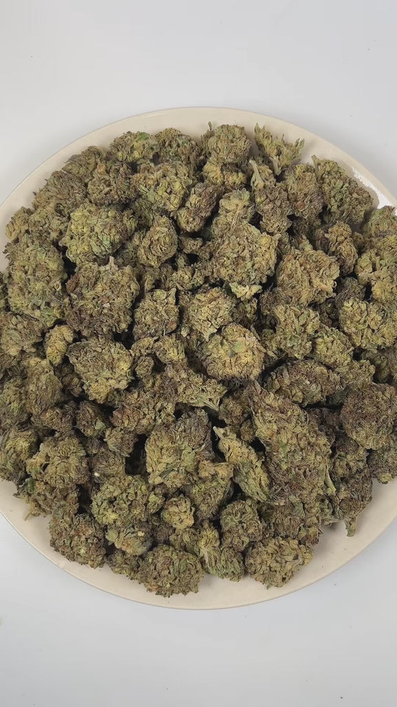 PUFFY Grease Gun is a balanced hybrid THCa strain crafted from the distinctive pairing of Gorilla Glue and Mythic OG. The aroma is a rich blend of earthy, herbal, and woody notes, evoking the calming essence of a serene forest after a fresh rain. Visually, dense green buds with purple hues and fiery orange pistils are coated in sticky trichomes. Consumers often report a euphoric, creative, and focused high that leaves them feeling uplifted, social, and lightly relaxed.