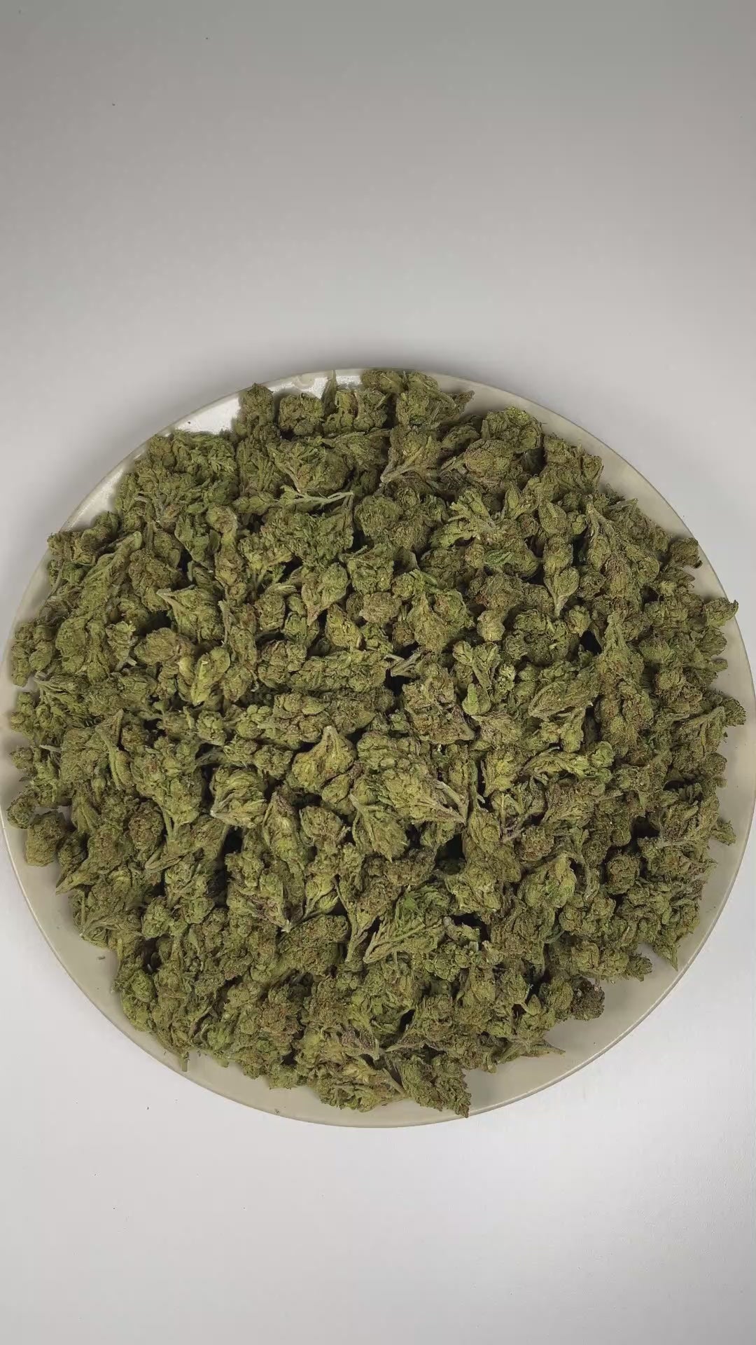 PUFFY Lemon Cherry Gelato (smalls) is an indica-dominant  hybrid THCa strain, expertly crafted from a potent cross between Sunset Sherbet and Girl Scout Cookies. The aroma is a bright blend of citrus and sweet cherries, layered with a bold, gassy finish. Visually, buds are dense and frosty, featuring forest green and purple hues with bright orange pistils and a thick coating of sparkling trichomes. Consumers often report an initial wave of uplifted, happy euphoria, followed by a soothing body relaxation acc