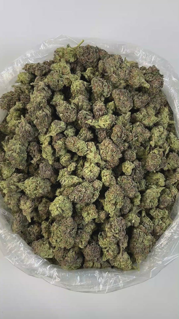 PUFFY Zerbert is an indica-dominant hybrid THCa strain created from the flavorful cross of Blue Sherbert and ZKZ. This strain offers a creamy, floral, and dessert-like aroma that’s both sweet and soothing to the senses. Visually, it features dense green buds with purple hints, thick frosty trichomes, and vibrant orange pistils. Consumers often experience a quick euphoric boost, bringing mental clarity and uplifted mood, followed by a gentle body relaxation that eases tension without feeling heavy.
