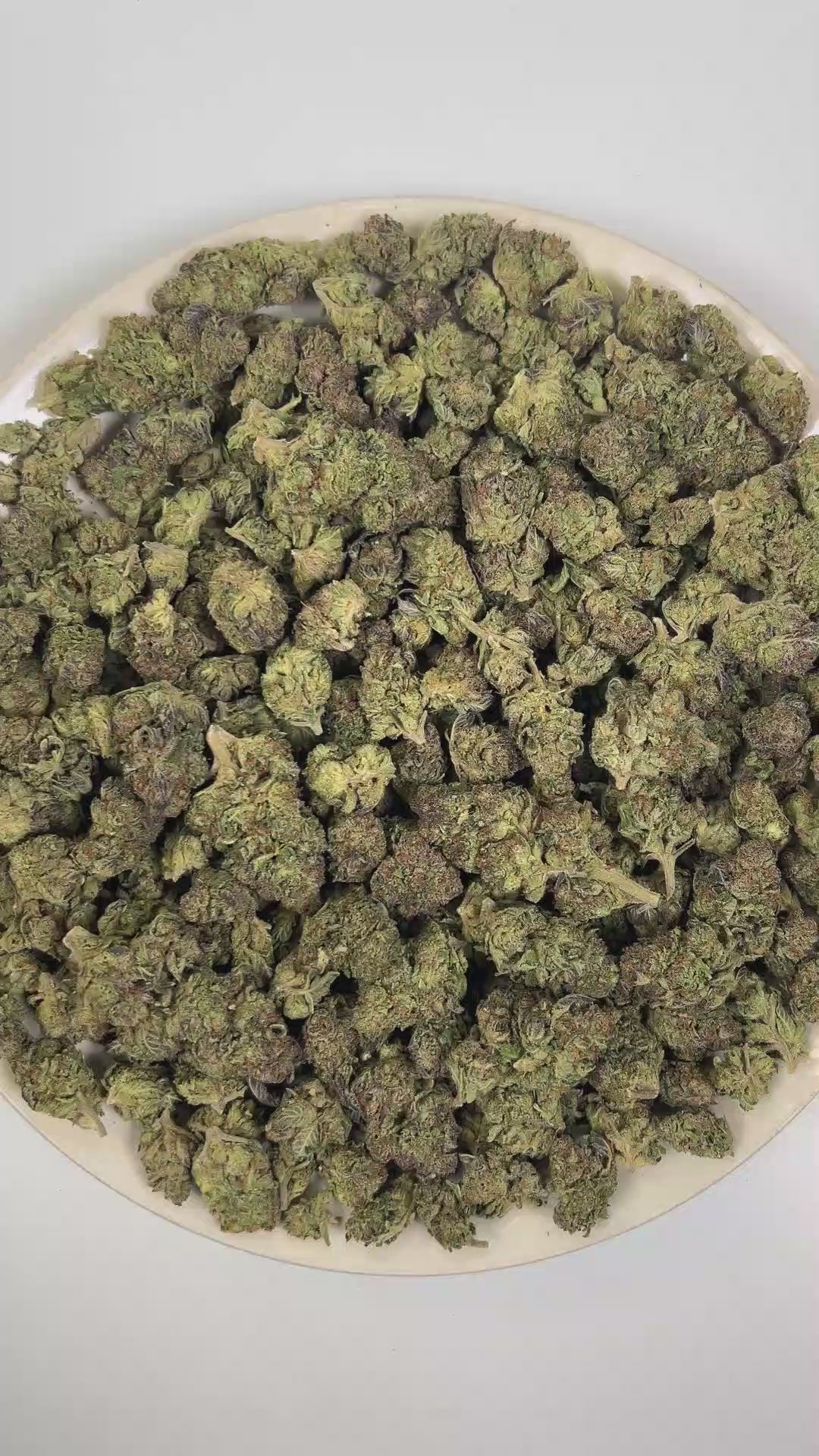 PUFFY Gelato Cream is a balanced hybrid THCa strain bred through the premium union of Wedding Cake and Gelato 33. The aroma is a rich blend of sweet, creamy undertones layered with bright, juicy fruit notes. Visually, dense deep forest green buds with purple hues and fiery orange pistils are coated in sticky trichomes. Consumers often report feeling euphoric, energetic, uplifted, creative, joyful, and gently relaxed, creating a balanced and mood-enhancing experience that supports both mental stimulation and