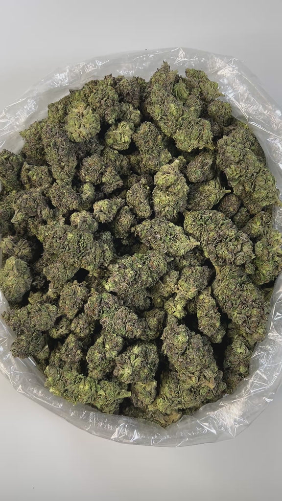 PUFFY Sour Patch Kids is a sativa-dominant hybrid THCa strain born from the flavorful fusion of Sour Diesel and Candyland. The aroma is a playful blend of candy sweetness, fruity brightness, and creamy undertones, all seamlessly mirroring its indulgent flavor. Visually, the buds are striking bright green with hints of purple, threaded with golden-orange pistils, and coated in a dense, frosty layer of trichomes. Consumers often describe the experience as happy and uplifting, with a clear mental focus, a slig