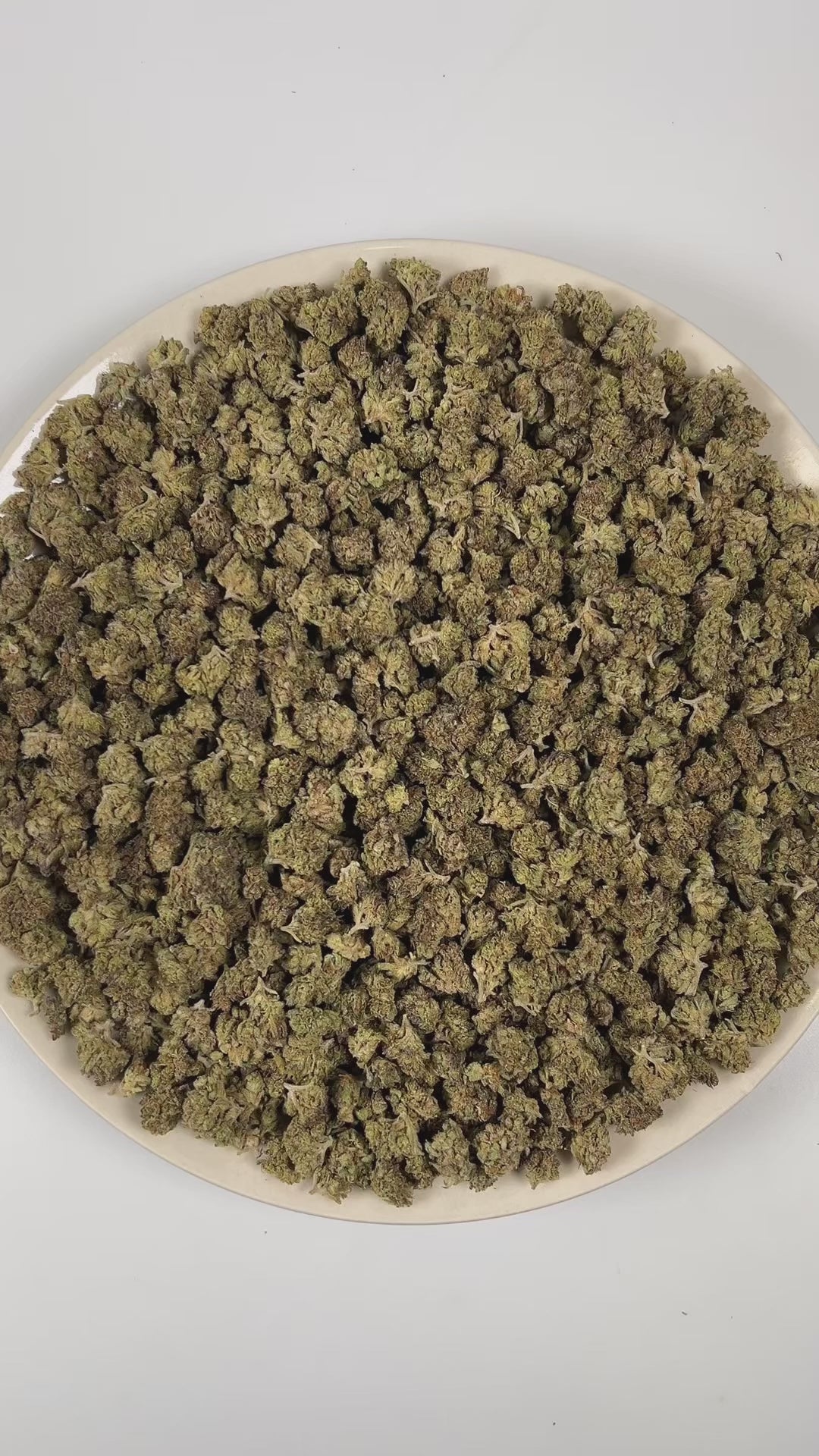 PUFFY Gelato Cake (smalls) is an indica-dominant hybrid THCA strain resulting from the expertly blended union of Gelato #33 and Wedding Cake. The aroma is a rich blend of peppery spice, doughy warmth, and subtle sweet undertones that come together for a smooth, balanced profile. Visually, dense deep forest green buds with purple hues and fiery orange pistils are coated in sticky trichomes. Consumers often describe the effects as euphoric and uplifting at onset, promoting mental clarity and a happy, mood-boo