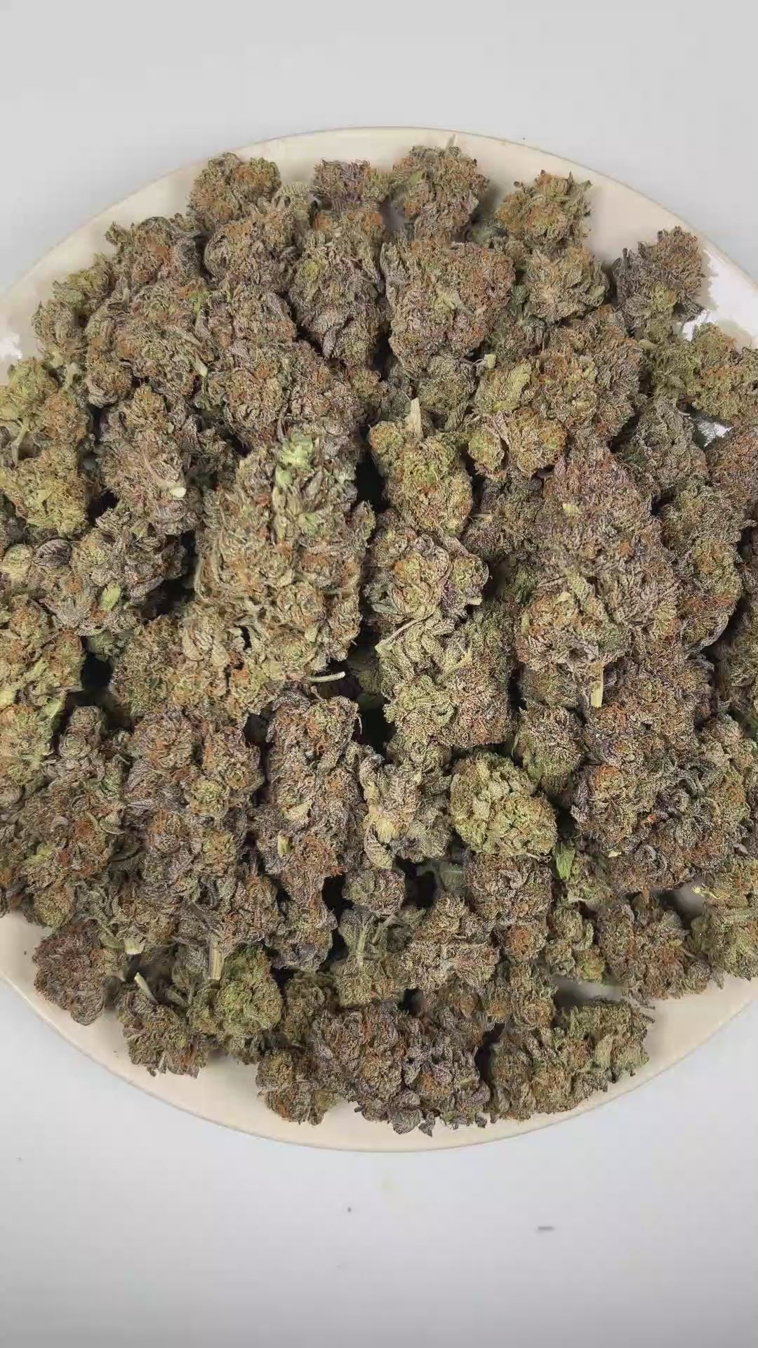 PUFFY Platinum Pave is a balanced hybrid THCa strain emerging from the distinguished pairing of Spritzer and Pave. The aroma opens with a vibrant blend of sweet fruity notes and bright citrus zest, finishing with a bold diesel undertone. Visually, dense forest green buds with purple hues and fiery orange pistils are coated in sticky trichomes. Consumers often report an uplifting wave of euphoria that begins with a clear-headed cerebral buzz before gradually melting into deep relaxation and soothing physical