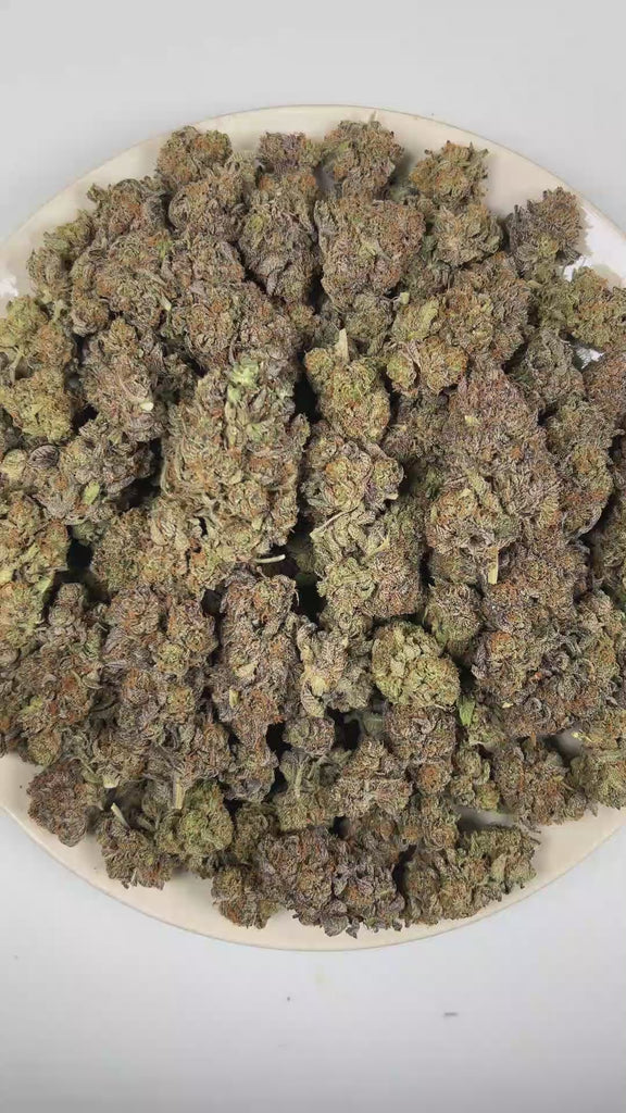 PUFFY Platinum Pave is a balanced hybrid THCa strain emerging from the distinguished pairing of Spritzer and Pave. The aroma opens with a vibrant blend of sweet fruity notes and bright citrus zest, finishing with a bold diesel undertone. Visually, dense forest green buds with purple hues and fiery orange pistils are coated in sticky trichomes. Consumers often report an uplifting wave of euphoria that begins with a clear-headed cerebral buzz before gradually melting into deep relaxation and soothing physical