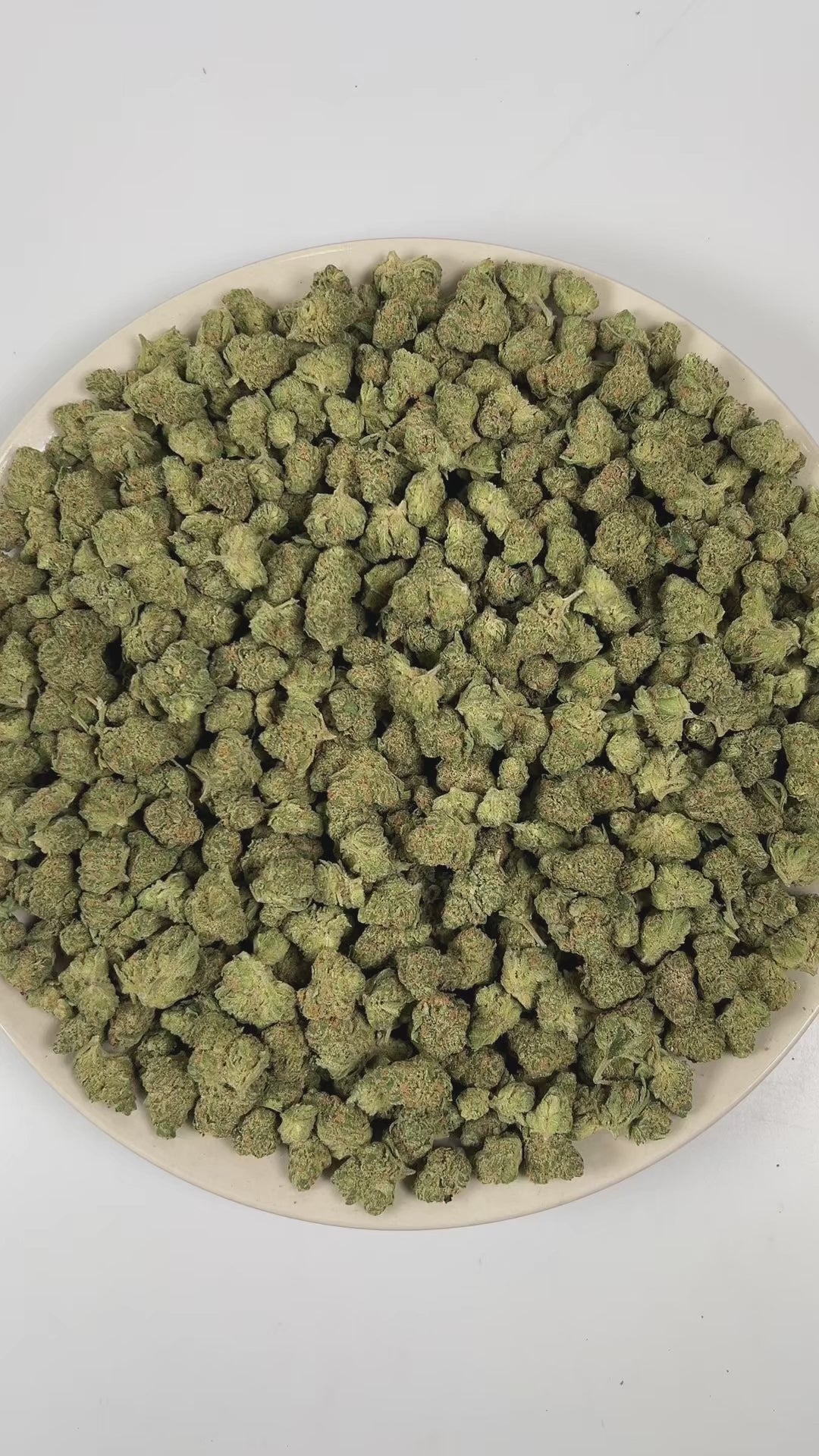 PUFFY Blue Skunk (smalls) is an indica-dominant hybrid THCa strain, born from the exotic blend of Blueberry and Skunk. The aroma is a bold blend of sweet blueberries layered with funky, earthy undertones and a distinct cheesy richness that adds depth and complexity. Visually, buds are dense and frosty, featuring deep green and purple hues with bright orange pistils and a thick coating of sparkling trichomes. Consumers often report a relaxing and euphoric experience accompanied by bursts of laughter, along w