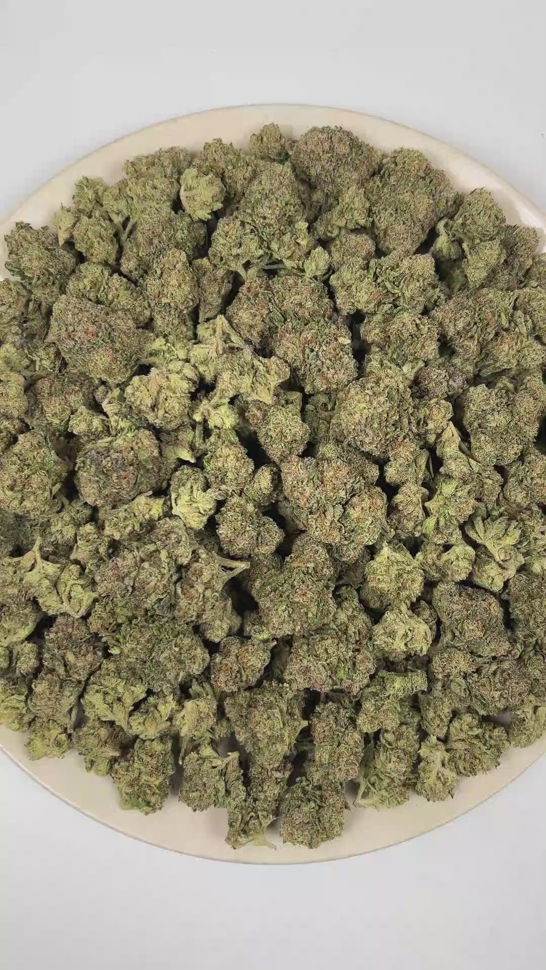 PUFFY Slurricane is an indica-dominant hybrid THCa expertly bred from the powerful pairing of Do-Si-Dos and Purple Punch. The aroma blends sweet, juicy berry notes with delicate floral undertones and a bold peppery finish. Visually, dense forest green buds with purple hues and fiery orange pistils are coated in sticky trichomes. Consumers often report an uplifting sense of euphoria that melts away tension and gently prepares the mind and body for a peaceful night's sleep. 
