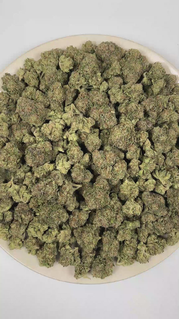 PUFFY Slurricane is an indica-dominant hybrid THCa expertly bred from the powerful pairing of Do-Si-Dos and Purple Punch. The aroma blends sweet, juicy berry notes with delicate floral undertones and a bold peppery finish. Visually, dense forest green buds with purple hues and fiery orange pistils are coated in sticky trichomes. Consumers often report an uplifting sense of euphoria that melts away tension and gently prepares the mind and body for a peaceful night's sleep. 