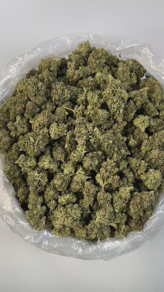 PUFFY OG Kush is an indica-dominant hybrid THCa strain crafted from a potent lineage of Chemdawg, Lemon Thai, and Hindu Kush. It delivers a complex aroma profile that blends earthy notes with hints of pine and fresh soil. Visually, the buds are dense and sticky, showcasing a vibrant lime green color accented by bright orange pistils and a generous coating of trichomes. Consumers often describe the effects as euphoric and uplifting at the onset, gradually transitioning into a state of deep relaxation and men