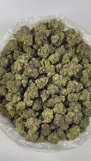 PUFFY Frozen Black Cherry is a potent indica-dominant hybrid THCa strain crafted from the flavorful cross of Black Cherry Gelato and Frozen Margy. This strain boasts a rich, layered aroma profile that blends creamy notes with hints of tropical fruit and a gassy undertone. Visually appealing, its dense, solid buds are blanketed in frosty trichomes and often display deep purple hues, making it as beautiful as it is effective. Consumers often report a deeply relaxing, euphoric, and heavily sedative experience,