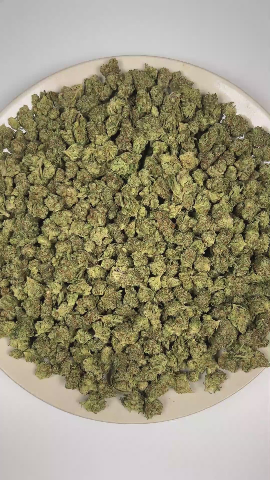 PUFFY Pineapple Gelato (smalls) is a balanced hybrid THCa strain defined by the masterful crossing of Sunset Sherbet and Thin Mint Girl Scout Cookies. The aroma is a creamy and fruity blend with a smooth herbal finish. Visually, dense forest green buds with purple hues and fiery orange pistils are coated in sticky trichomes. Consumers often report feeling euphoric, social, and energized, with a lively sense of positivity and an inspired, creative mindset. 
