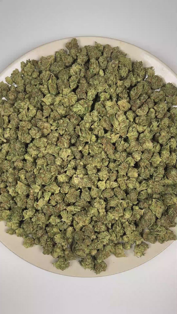 PUFFY Pineapple Gelato (smalls) is a balanced hybrid THCa strain defined by the masterful crossing of Sunset Sherbet and Thin Mint Girl Scout Cookies. The aroma is a creamy and fruity blend with a smooth herbal finish. Visually, dense forest green buds with purple hues and fiery orange pistils are coated in sticky trichomes. Consumers often report feeling euphoric, social, and energized, with a lively sense of positivity and an inspired, creative mindset. 