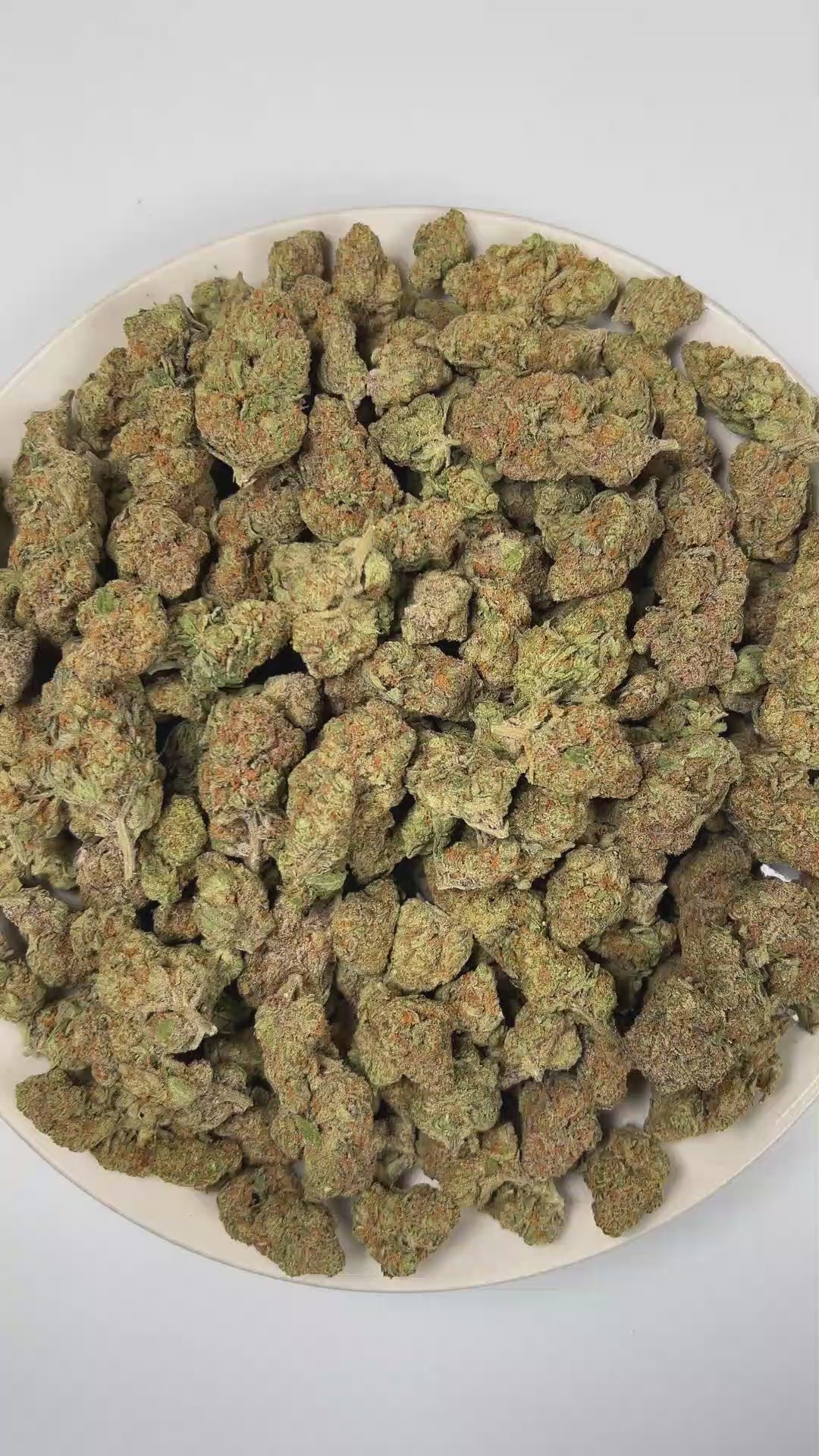 PUFFY Bob Hope is an sativa-dominant hybrid THCa strain developed from the flavorful convergence of  Super Lemon Haze and Durban Biscotti. The aroma opens with sweet, juicy grapes, followed by a sharp hint of ammonia and finished with a bright burst of zesty citrus. Visually, dense forest green buds with purple hues and fiery orange pistils are coated in sticky trichomes. Consumers often report an uplifting wave of euphoria that inspires creativity, sharpens focus, boosts energy, and leaves them feeling ref