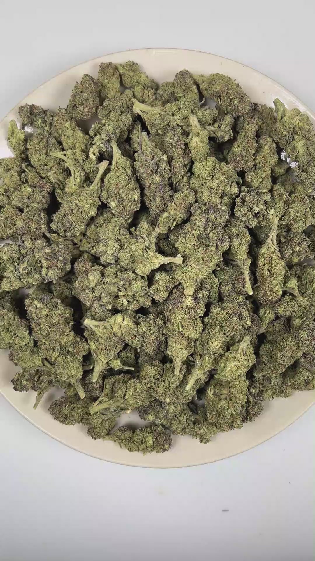 PUFFY Girl Scout Cookies is an Indica-dominant hybrid THCa strain born from the legendary cross of OG Kush and Durban Poison. The aroma opens with rich nutty notes layered with warm, freshly baked dough, finishing with a smooth, sweet cake-like essence. Visually, dense forest green buds with purple hues and fiery orange pistils are coated in sticky trichomes. Consumers often report a euphoric high that uplifts the mood, promoting a soothing sense of calm, easing tension, and encouraging a focused mental sta