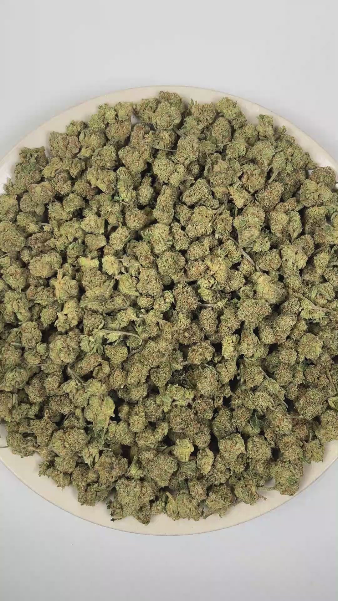 PUFFY Green Crack (smalls) is a sativa-dominant hybrid THCa strain, its lineage is thought to originate from a cross between the legendary Skunk #1 and an Afghani or another traditional indica landrace. The aroma opens with a sharp, fuel-forward intensity layered with heavy diesel notes, followed by a cool mint finish. Visually, the dense buds feature light-to-lime green with purple hues, bright orange pistils, and a frosty coating of trichomes. Consumers often report an energizing and euphoric cerebral upl