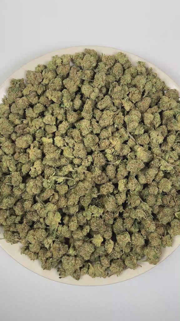 PUFFY Green Crack (smalls) is a sativa-dominant hybrid THCa strain, its lineage is thought to originate from a cross between the legendary Skunk #1 and an Afghani or another traditional indica landrace. The aroma opens with a sharp, fuel-forward intensity layered with heavy diesel notes, followed by a cool mint finish. Visually, the dense buds feature light-to-lime green with purple hues, bright orange pistils, and a frosty coating of trichomes. Consumers often report an energizing and euphoric cerebral upl