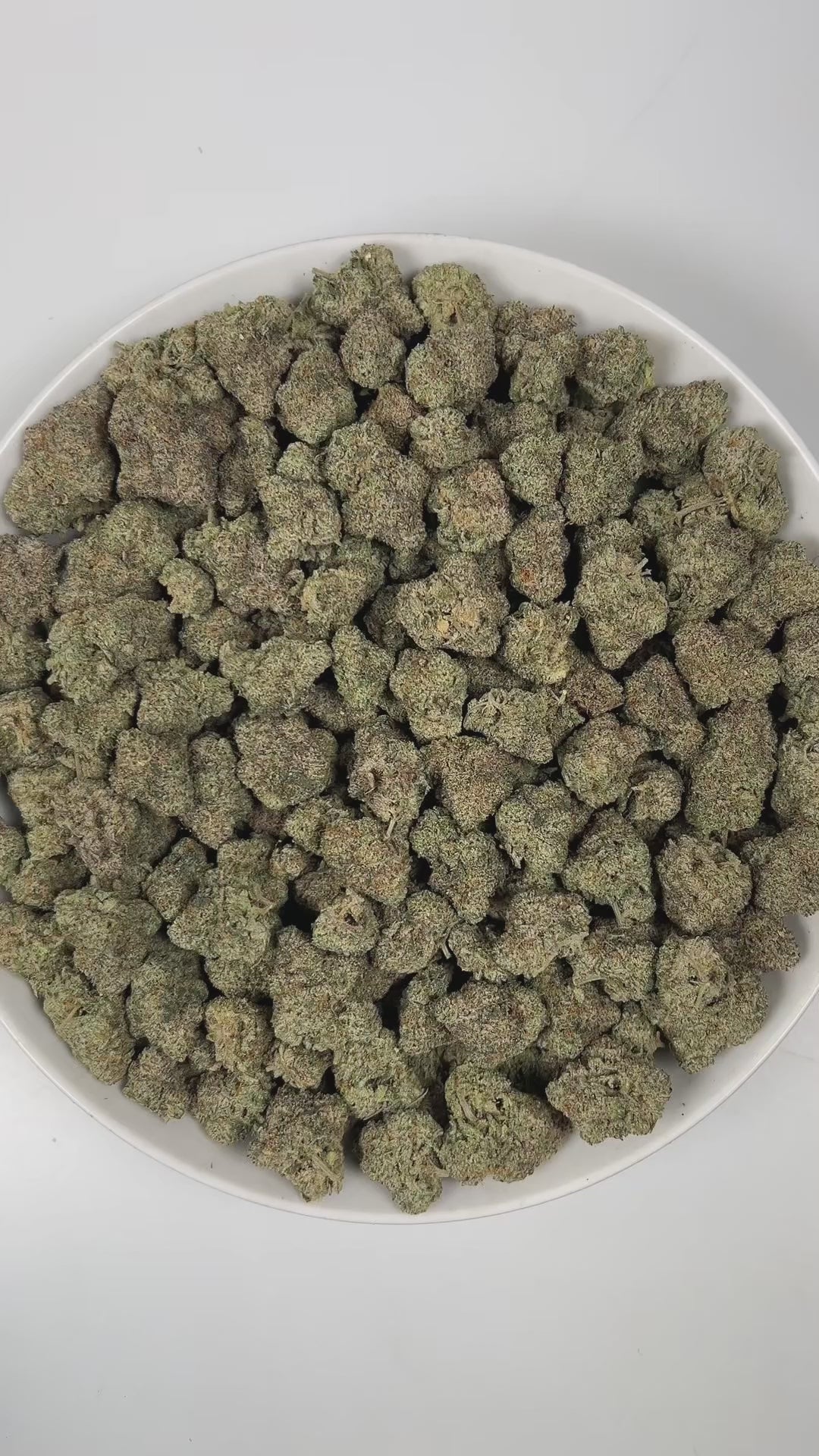 PUFFY Hella Jelly is a sativa-dominant hybrid THCa strain, crafted from the legendary lineage of Very Cherry and Notorious THC. The aroma is a rich blend of tropical fruit sweetness, creamy vanilla undertones, and a sharp, lingering hint of gasoline. Visually, dense green buds with purple hues and fiery orange pistils are coated in sticky trichomes. Consumers often report a euphoric experience paired with happiness, uplifting energy, sharpened clarity, and an invigorating sense of motivation.