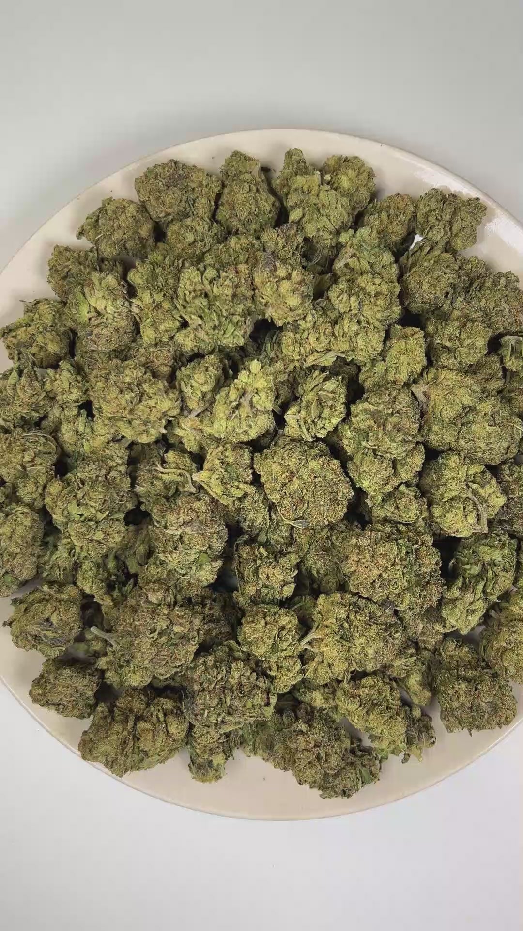 PUFFY Warhead is a sativa-dominant hybrid THCa strain created through the masterful blending of Kaboom and Sour Pez. The aroma opens with an intense blast of pungent diesel and heavy fuel, layered with sharp chemical undertones that create a powerful gassy character. Visually, dense forest green buds with purple hues and fiery orange pistils are coated in sticky trichomes. Consumers often report a euphoric, uplifting sense of calm accompanied by enhanced focus and creativity, making this cultivar a popular 
