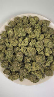 PUFFY Warhead is a sativa-dominant hybrid THCa strain created through the masterful blending of Kaboom and Sour Pez. The aroma opens with an intense blast of pungent diesel and heavy fuel, layered with sharp chemical undertones that create a powerful gassy character. Visually, dense forest green buds with purple hues and fiery orange pistils are coated in sticky trichomes. Consumers often report a euphoric, uplifting sense of calm accompanied by enhanced focus and creativity, making this cultivar a popular 
