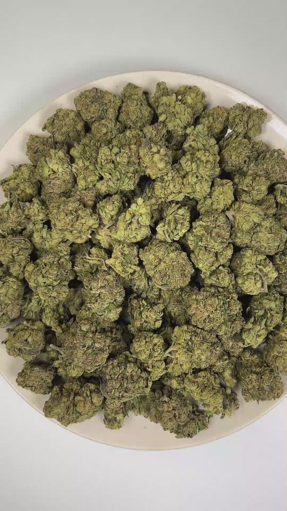 PUFFY Warhead is a sativa-dominant hybrid THCa strain created through the masterful blending of Kaboom and Sour Pez. The aroma opens with an intense blast of pungent diesel and heavy fuel, layered with sharp chemical undertones that create a powerful gassy character. Visually, dense forest green buds with purple hues and fiery orange pistils are coated in sticky trichomes. Consumers often report a euphoric, uplifting sense of calm accompanied by enhanced focus and creativity, making this cultivar a popular 