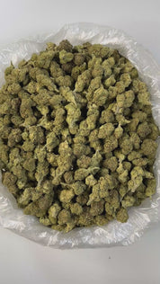 Puffy White Lotus is an indica-dominant hybrid THCa strain resulting from a cross between The White and Snow Lotus. The aroma is a bold medley of funk, ripe peaches, and pungent blue cheese, perfectly mirroring the strain’s complex and unforgettable flavor. Visually, the buds are striking: medium-sized and dense with a light minty-green hue, adorned with olive-toned sugar leaves, fiery orange pistils, and a thick, milky-white layer of trichomes that give it a frosted appearance. Consumers often report that 