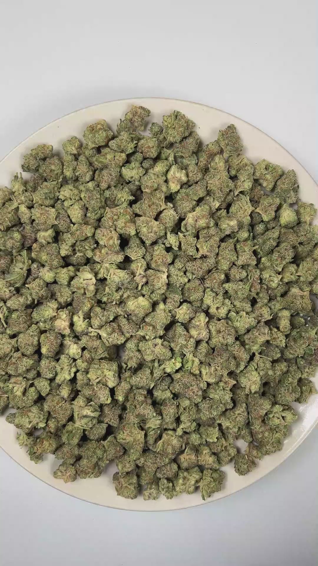 PUFFY Strawberry Biscotti (smalls) is a balanced hybrid THCa strain crafted through the masterful blend of Strawberry Kush and Biscotti Sundae. The aroma opens with the sweet, juicy scent of ripe strawberries, layered with smooth, creamy undertones and finished by a rich, freshly baked doughy warmth. Visually, dense forest green buds with purple hues and fiery orange pistils are coated in sticky trichomes. Consumers often report an uplifting sense of euphoria that sparks creativity and mental clarity before