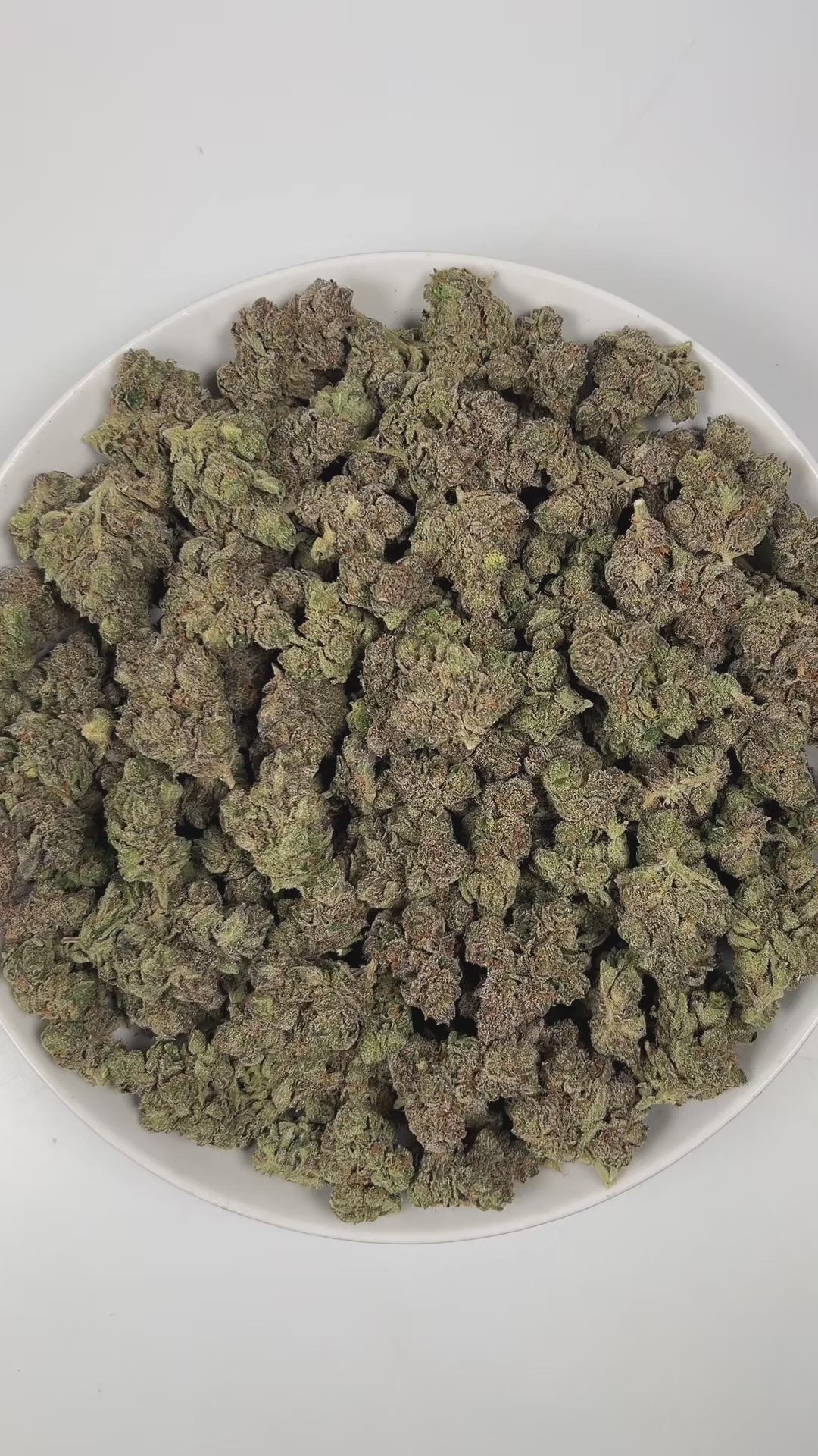 PUFFY Jokerz Candy is an indica-dominant hybrid THCa strain, born from the flavorful cross between Gummiez and Grape Gasoline. The aroma is a vivid blend of sweet rainbow candy, sharp diesel, and pungent gasoline, creating a bold and enticing scent that immediately captures attention. Visually, the dense buds display forest-green tones with deep purple hues, vibrant orange pistils, and a frosty trichome coating. Consumers often describe the effects as euphoric and uplifting, promoting happiness and mental c