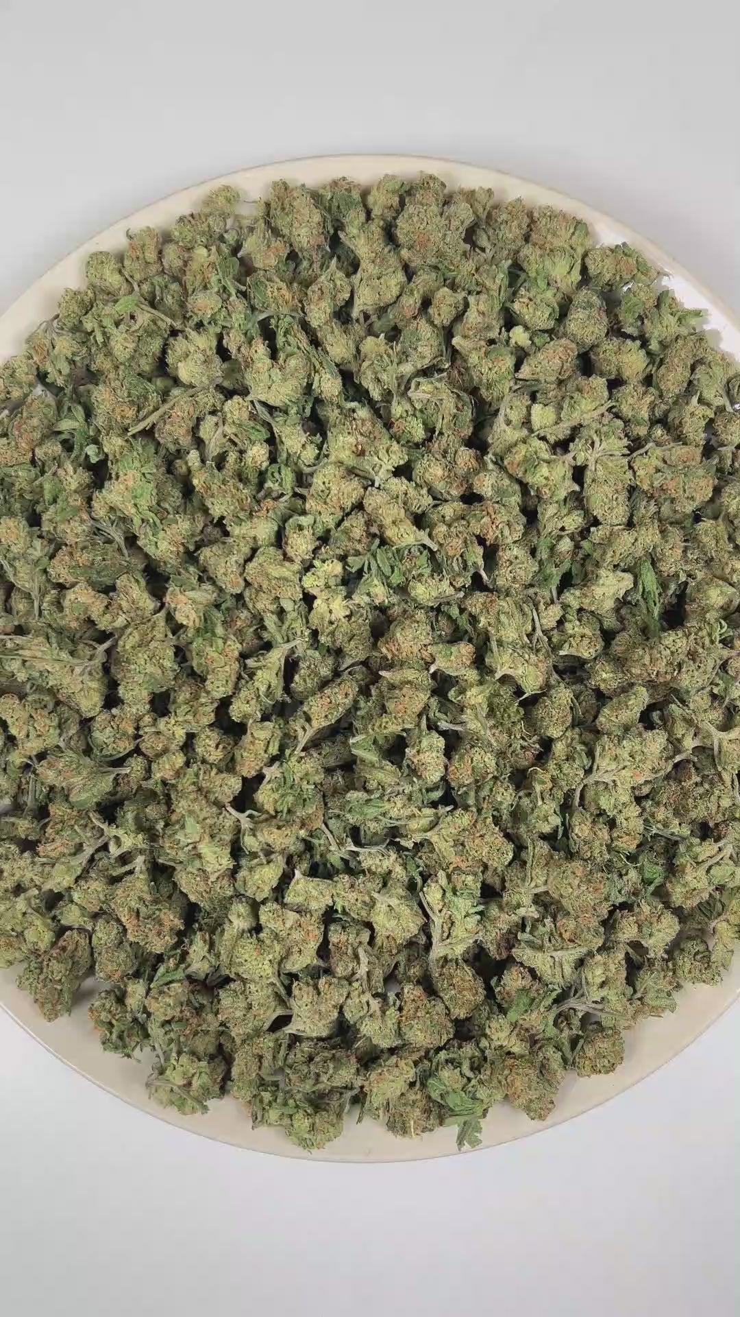PUFFY Lemon Candy (smalls) is a sativa-dominant hybrid THCa strain crafted from the legendary lineage of American indica with NYC Diesel. The aroma opens with bright lemon zest and sweet candy-like notes, layered over a sharp, gassy undertone. Visually, dense forest green buds with purple hues and fiery orange pistils are coated in sticky trichomes. Consumers often report an initial wave of uplifting euphoria that energizes the mind, followed by a smooth, soothing body calm that relaxes muscles, melts away 