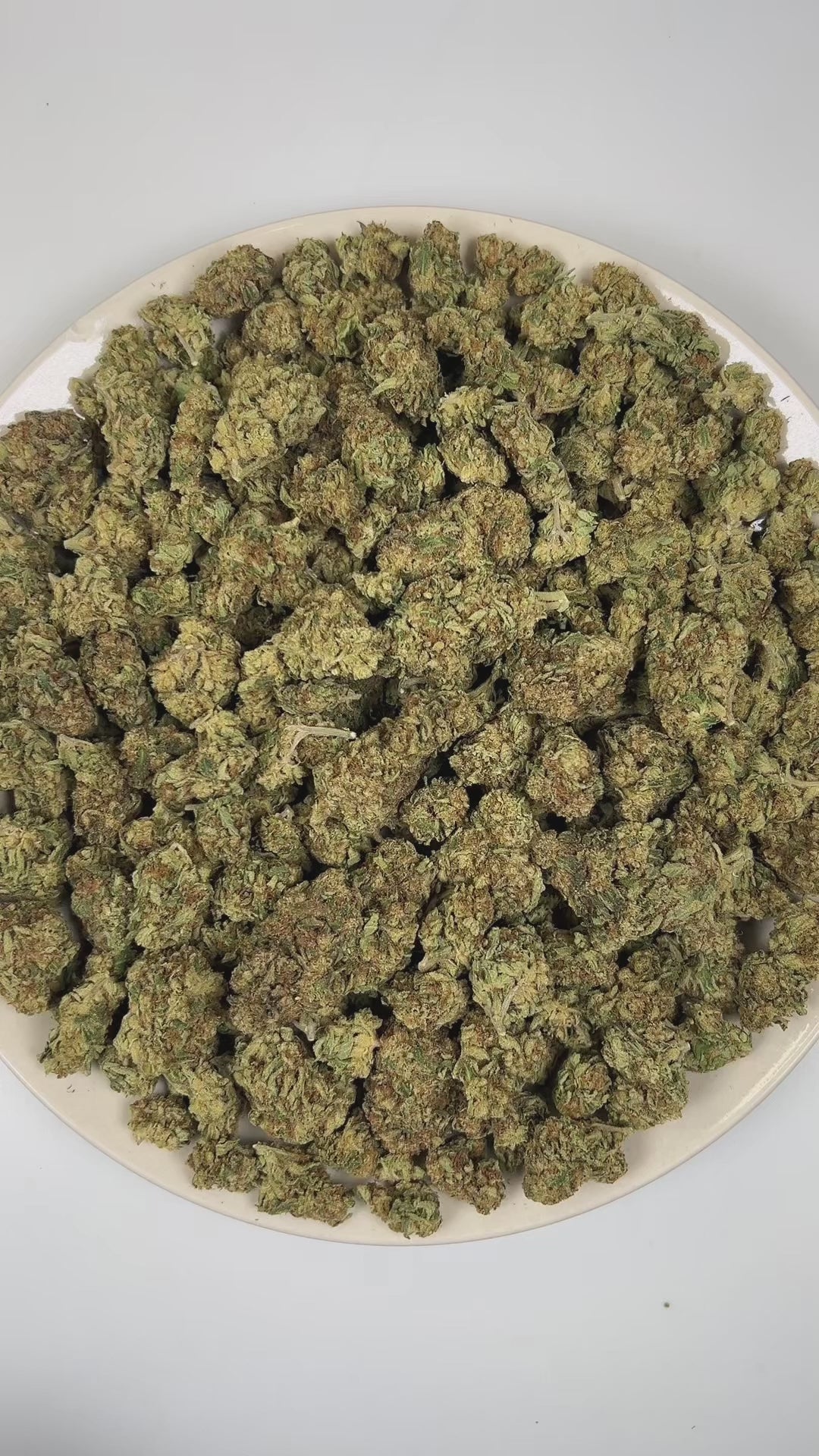 PUFFY Khalifa Kush also known as “Wiz Khalifa” is a legendary hybrid THCa strain originally crafted exclusively for the iconic rapper Wiz Khalifa himself. It is widely regarded as a select phenotype or descendant of OG Kush, often described as an exclusive, highly refined cut of OG Kush–type genetics. The aroma is a bold fusion of kushy earthiness layered with sharp onion-like funk and an intensely pungent, savory edge. Visually, dense green buds with purple hues and fiery orange pistils are coated in stick