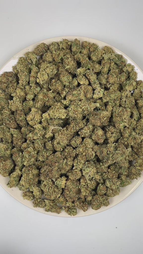 PUFFY Khalifa Kush also known as “Wiz Khalifa” is a legendary hybrid THCa strain originally crafted exclusively for the iconic rapper Wiz Khalifa himself. It is widely regarded as a select phenotype or descendant of OG Kush, often described as an exclusive, highly refined cut of OG Kush–type genetics. The aroma is a bold fusion of kushy earthiness layered with sharp onion-like funk and an intensely pungent, savory edge. Visually, dense green buds with purple hues and fiery orange pistils are coated in stick