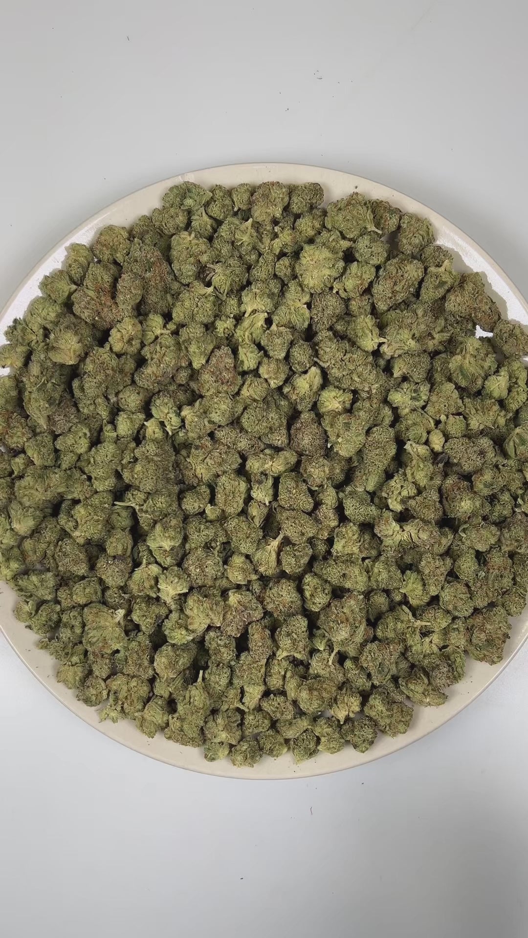 PUFFY Marathon OG (smalls) is a potent indica-dominant hybrid THCa strain, crafted from the legendary OG Kush lineage, which includes either Chemdawg, Lemon Thai, or Hindu Kush. The aroma is pine-forward, layered with bright lemon zest and a bold gassy undertone. Visually, dense forest green buds with purple hues and fiery orange pistils are coated in sticky trichomes. Consumers often report a balance of euphoria and relaxation, heightened focus, and a pleasant boost in appetite. 