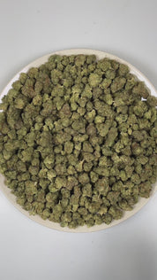 PUFFY Marathon OG (smalls) is a potent indica-dominant hybrid THCa strain, crafted from the legendary OG Kush lineage, which includes either Chemdawg, Lemon Thai, or Hindu Kush. The aroma is pine-forward, layered with bright lemon zest and a bold gassy undertone. Visually, dense forest green buds with purple hues and fiery orange pistils are coated in sticky trichomes. Consumers often report a balance of euphoria and relaxation, heightened focus, and a pleasant boost in appetite. 