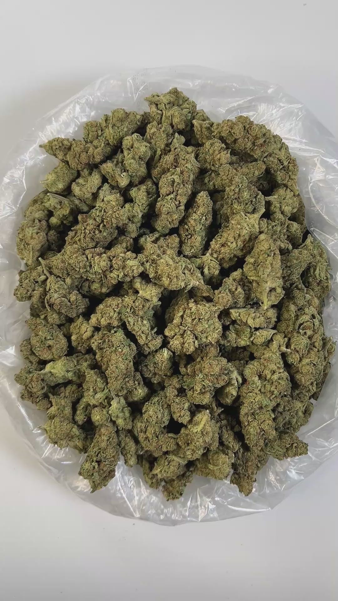 PUFFY Tangie is a sativa-dominant hybrid THCa strain born from the flavorful lineage of California Orange (Cali-O) and Skunk #1. The aroma is a funky fusion of ripe strawberries, tangy blue cheese, and bright oranges, a profile that's boldly mirrored in its flavor. Visually, the buds are dense and frosty, with thick, silvery-white trichomes that give the colas a shimmering, snow-covered appearance. Consumers often describe the effects as energizing and euphoric, delivering a clear-headed, cerebral high that